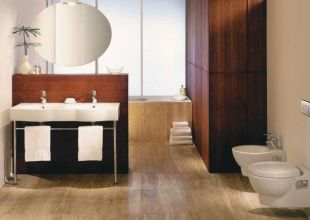 Подвесной унитаз Jacob Delafon Ove (E1585-00)