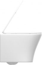 Унитаз подвесной DIWO 11337-1-2 11Z-IG11 безободковый, с микролифтом